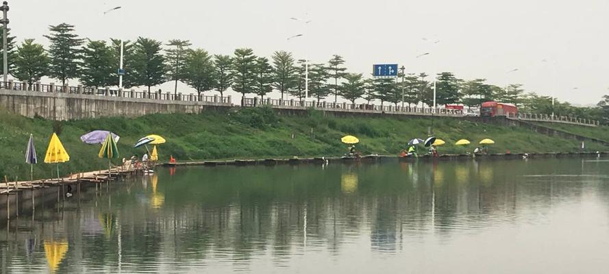 黑坑垂钓的七个技巧是什么？如何提高垂钓成功率？  第1张