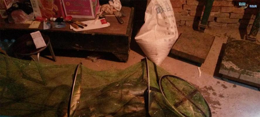 黑坑垂钓鲤鱼有技巧吗？如何提高钓鲤鱼的成功率？  第1张