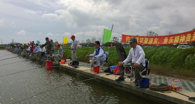 黑坑垂钓小技巧有哪些？如何提高钓获率？  第1张