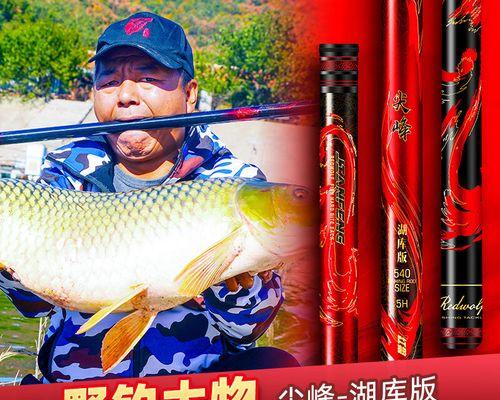 黑坑垂钓鲟鱼技巧有哪些？如何提高成功率？  第1张