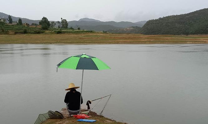 黑坑大板鲫垂钓技巧是什么？如何提高垂钓成功率？  第1张