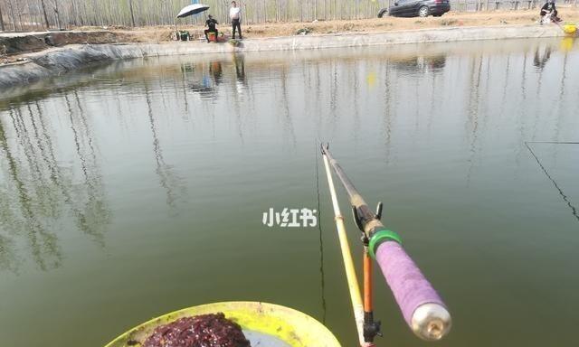 黑坑大边垂钓技巧和方法是什么？如何提高垂钓成功率？  第3张