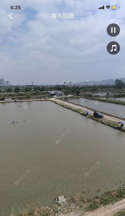 黑坑大风天气钓鱼的最佳方法和技巧是什么？如何应对风大时的钓鱼挑战？  第2张