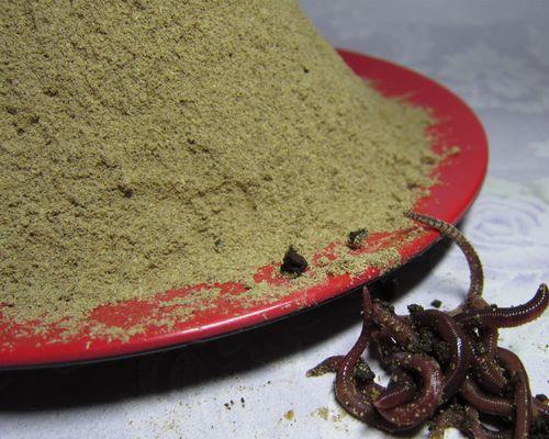 黑坑大蚯蚓钓鱼技巧有哪些？如何提高钓获率？  第2张