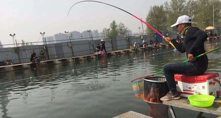 黑坑钓鱼有哪些高效方法？如何掌握这些技巧？  第3张
