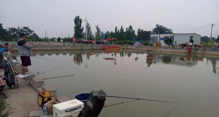 黑坑钓浮鲤鱼正确方法与技巧教程？如何提高钓浮鲤鱼的效率？  第1张