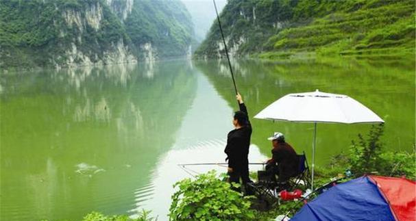 黑坑钓浮青鱼的正确方法与技巧是什么？如何提高钓浮青鱼的技巧？  第3张
