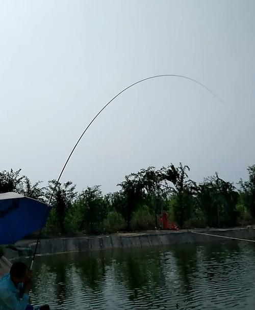 黑坑钓鲤鱼打浮的技巧是什么？如何提高钓鲤鱼的成功率？  第1张