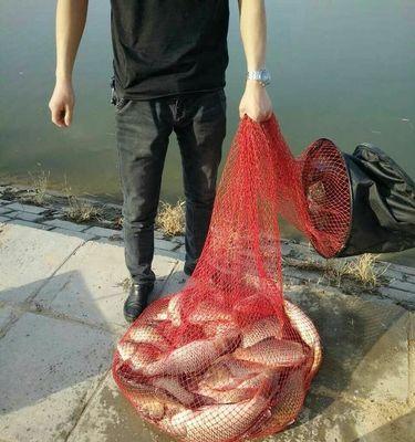 黑坑钓鲤鱼打浮的技巧是什么？如何提高钓鲤鱼的成功率？  第3张