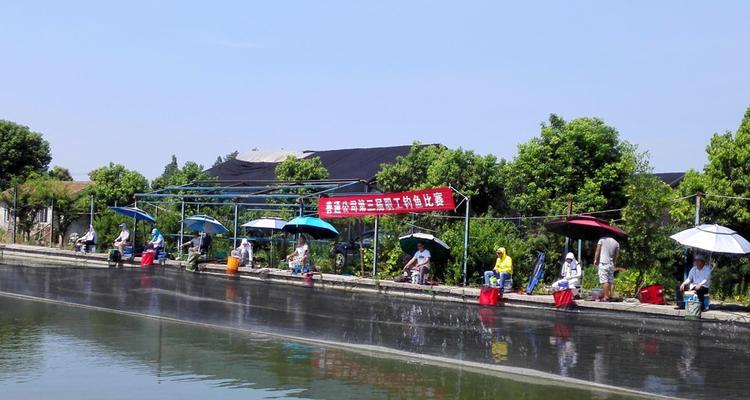 黑坑钓鲤鱼浮水的技巧和方法是什么？如何提高钓鲤鱼的成功率？  第1张