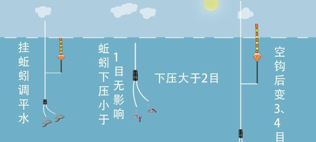 黑坑钓鲤鱼漂相技巧是什么？如何识别和应对？  第1张