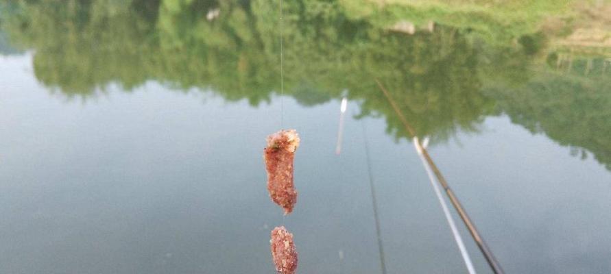 黑坑钓鲤鱼漂相技巧是什么？如何识别和应对？  第2张