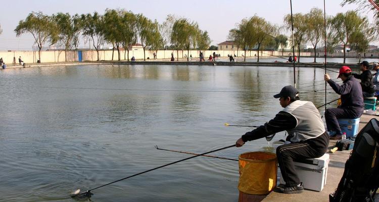 黑坑钓鲤鱼时如何选择合适的浮漂？有哪些技巧可以提高成功率？  第2张