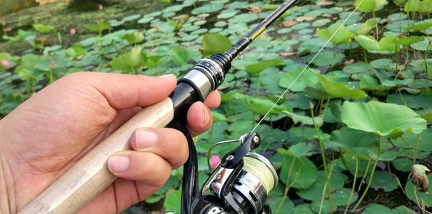 黑坑钓鲤鱼时如何选择合适的鱼钩？掌握哪些技巧能提高成功率？  第2张