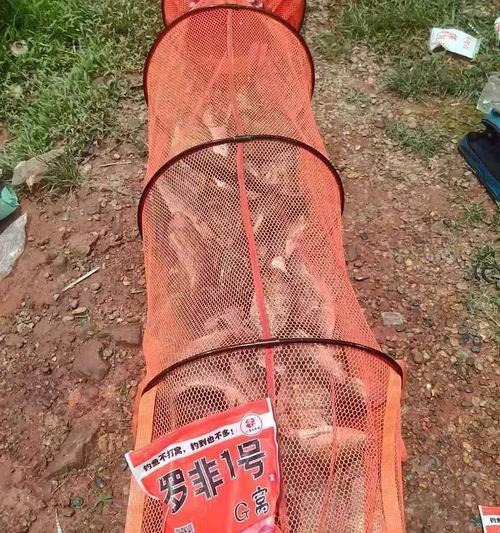 黑坑钓罗非钓鱼技巧有哪些？如何提高钓获率？  第1张