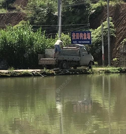 黑坑钓鱼必胜技巧是什么？如何应对各种钓鱼挑战？  第3张
