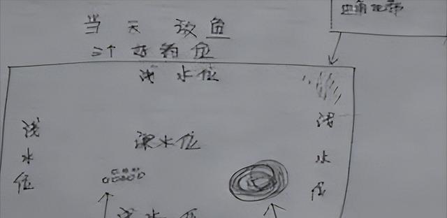 黑坑钓鱼如何辨识鱼情？选位有哪些技巧？  第3张
