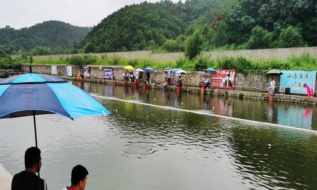 黑坑钓鱼打闭口技巧是什么？如何有效应对闭口问题？  第1张