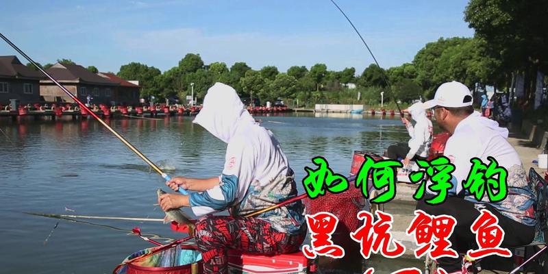 黑坑钓鱼打浮调漂方法与技巧是什么？如何有效提高钓鱼成功率？  第1张
