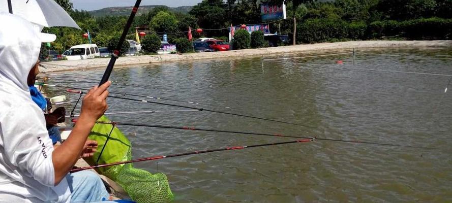 黑坑钓鱼打窝技巧教学？如何有效提高钓鱼成功率？  第2张