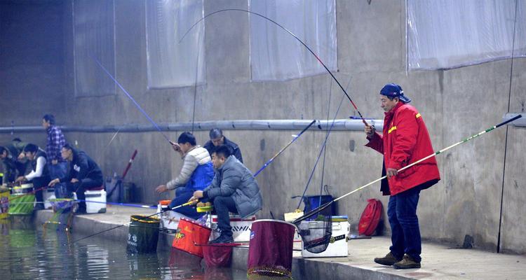 黑坑钓鱼诱鱼技巧有哪些？如何有效吸引鱼群？  第1张