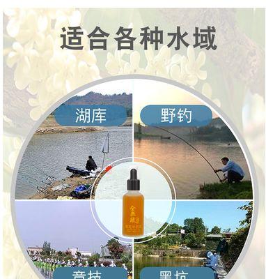 黑坑钓鱼诱鱼技巧有哪些？如何有效吸引鱼群？  第2张