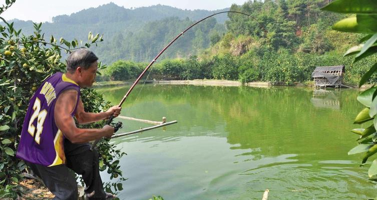 黑坑钓鱼调漂的正确方法和技巧是什么？如何掌握这些技巧？  第2张