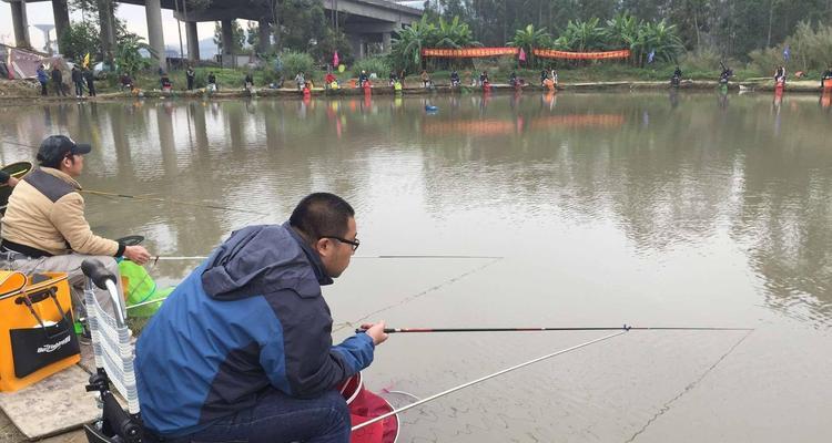 黑坑钓鱼调漂技巧及方法是什么？如何提高调漂准确性？  第3张