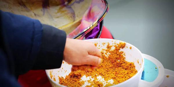 黑坑钓鱼饵料搭配技巧是什么？如何根据季节变化选择合适的饵料？  第3张