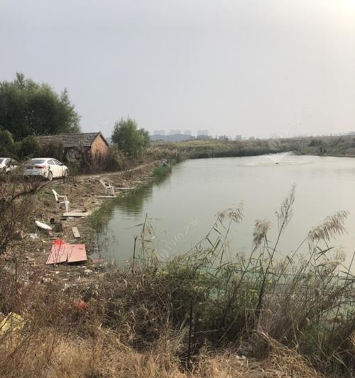 黑坑钓鱼方位技巧有哪些？如何根据季节变化选择最佳钓鱼位置？  第1张