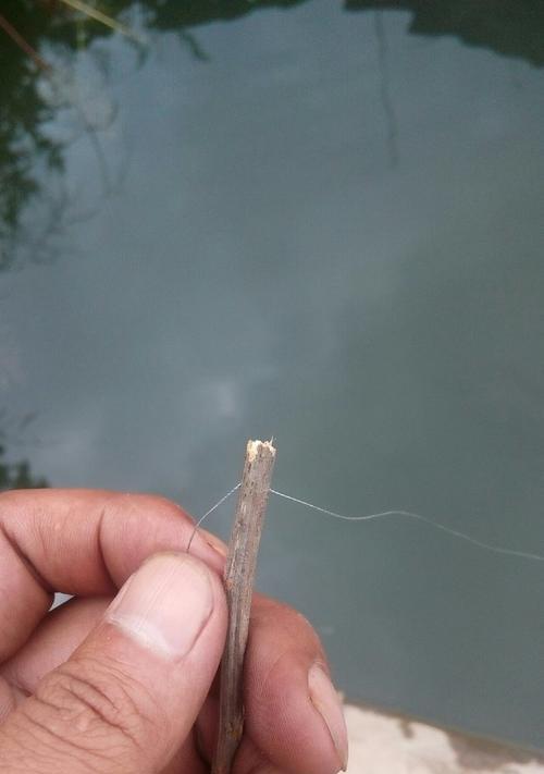 黑坑钓鱼时如何正确挂玉米？调漂技巧有哪些常见问题？  第1张