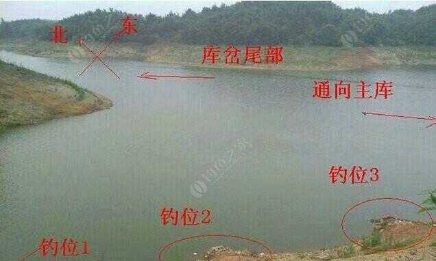 黑坑钓鱼技巧方法有哪些？如何提高钓鱼成功率？  第3张