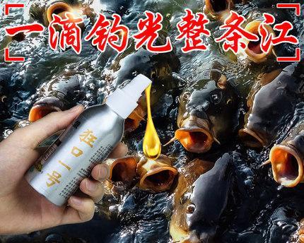 黑坑钓鱼时如何正确挂蚯蚓饵料？挂饵技巧有哪些常见问题？  第2张