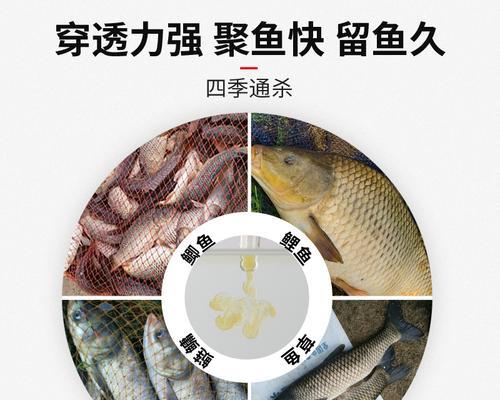 黑坑钓鱼技巧有哪些？如何搭配最佳鱼饵配料？  第3张