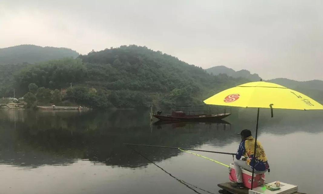 黑坑钓鱼抢鱼技巧有哪些？如何快速掌握并提高成功率？  第1张