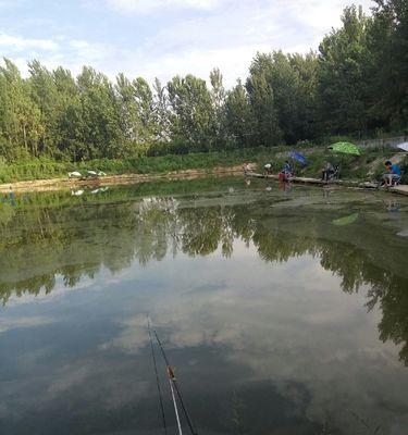 黑坑钓鱼全场停口怎么办？掌握这些技巧轻松应对！  第3张