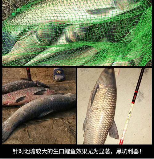 黑坑钓鱼散炮如何使用？有哪些技巧能提高钓获率？  第2张