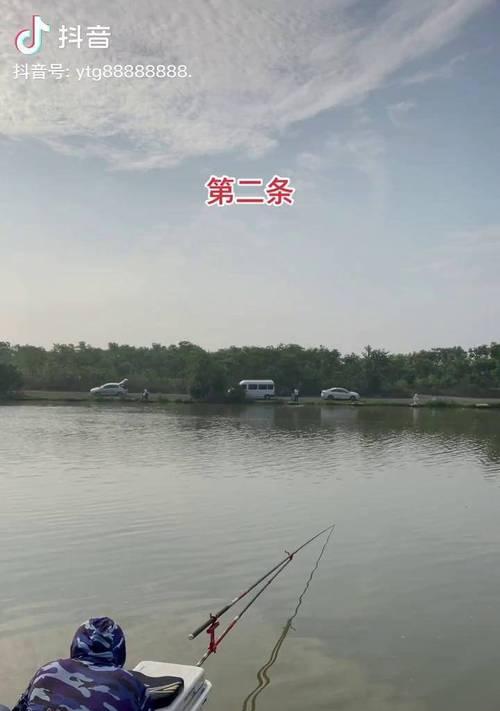 黑坑钓鱼上岸技巧教学？如何快速掌握并成功上岸？  第1张