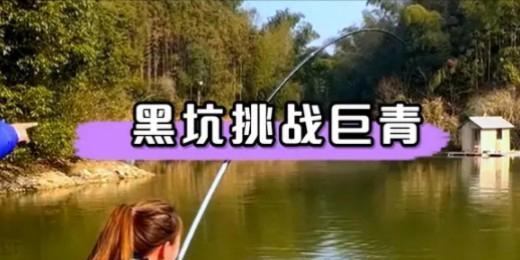 黑坑钓鱼上岸技巧教学？如何快速掌握并成功上岸？  第3张