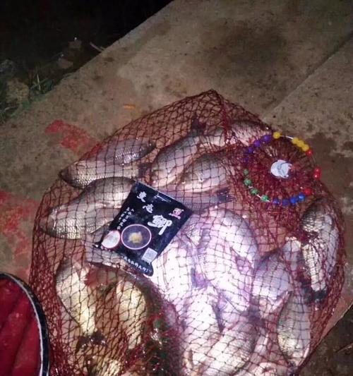 黑坑钓鱼上饵技巧有哪些？如何提高上饵成功率？  第2张