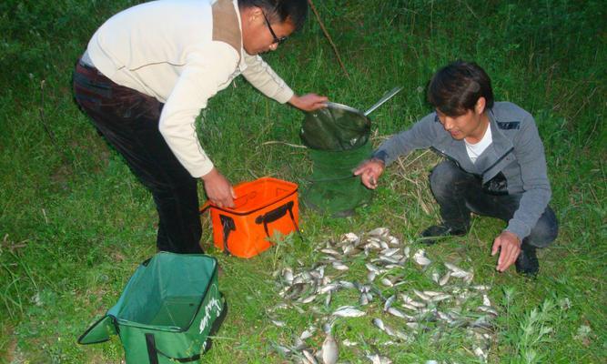 黑坑钓鱼十大实战技巧是什么？如何提高钓鱼成功率？  第3张