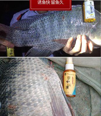 黑坑钓鱼长竿散炮饵怎么用？使用技巧有哪些？  第1张