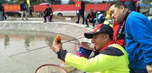 黑坑钓鱼找底技巧是什么？如何快速掌握？  第3张