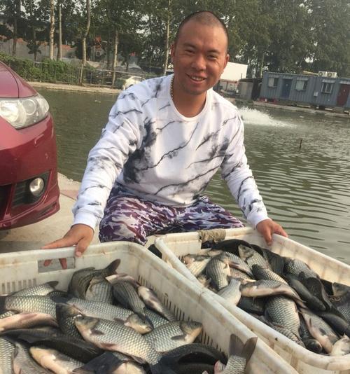 黑坑鲫鱼钓鱼技巧有哪些？如何提高钓鲫鱼的成功率？  第1张