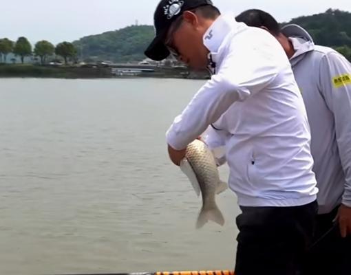 黑坑老板下药钓鱼技巧？如何应对和防范？  第2张