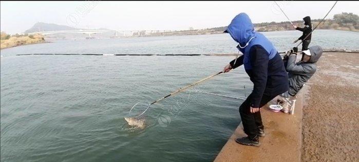 江里走水钓鱼技巧是什么？如何提高钓鱼成功率？  第1张