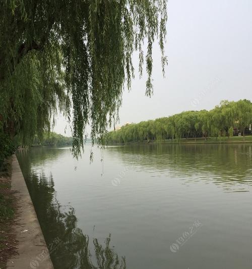 江里走水钓鱼技巧是什么？如何提高钓鱼成功率？  第2张